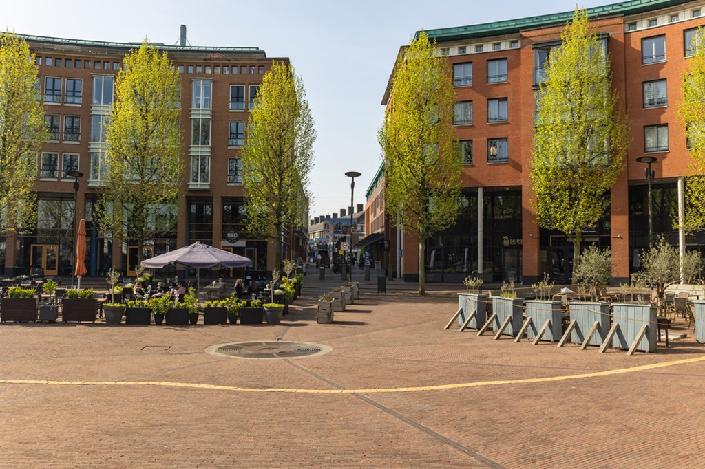 Jouw aankoopmakelaar in de zoektocht naar jouw droomhuis